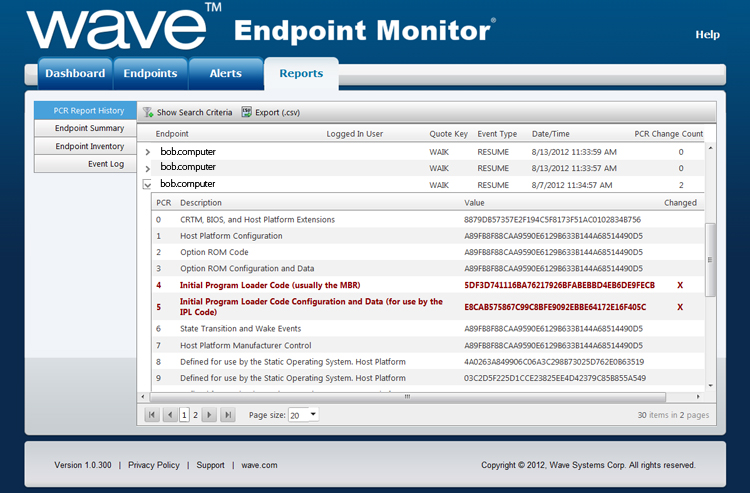 Wave Endpoint Monitor Report Screenshot