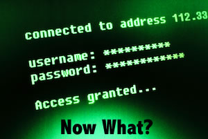 Hacked? An Action Plan and What You Should do Now.
