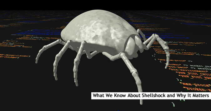 About the Shellshock Vulnerability