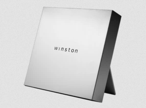Vulnerabilities found in Winston Privacy devices