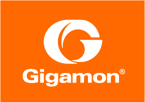 GigaSECURE from GigaMon 