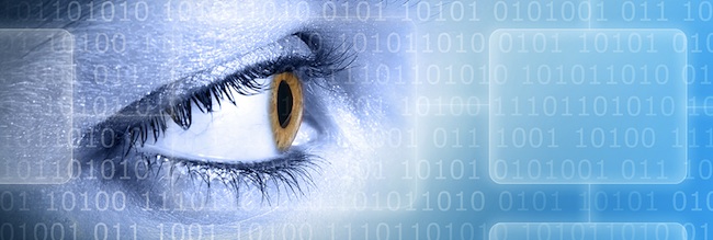 Network and Data Visibility