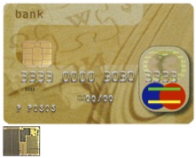 EMV Chip Credit Card