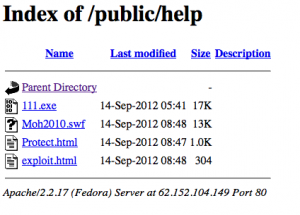 IE Zero Day Vulnerability