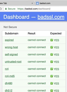 BADSSL Inspection