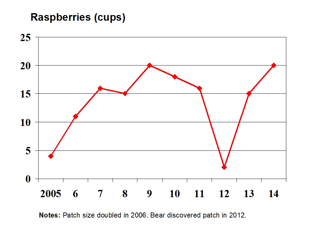 Security Metrics Example Image