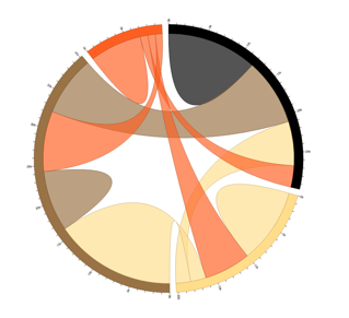 chord diagram