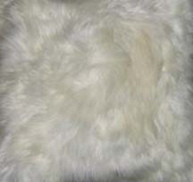 Closeup of Fur