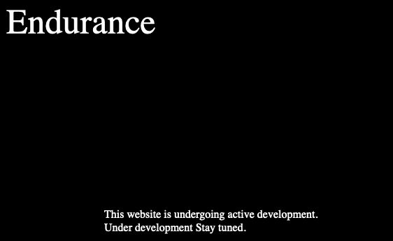 Endurance ransomware site