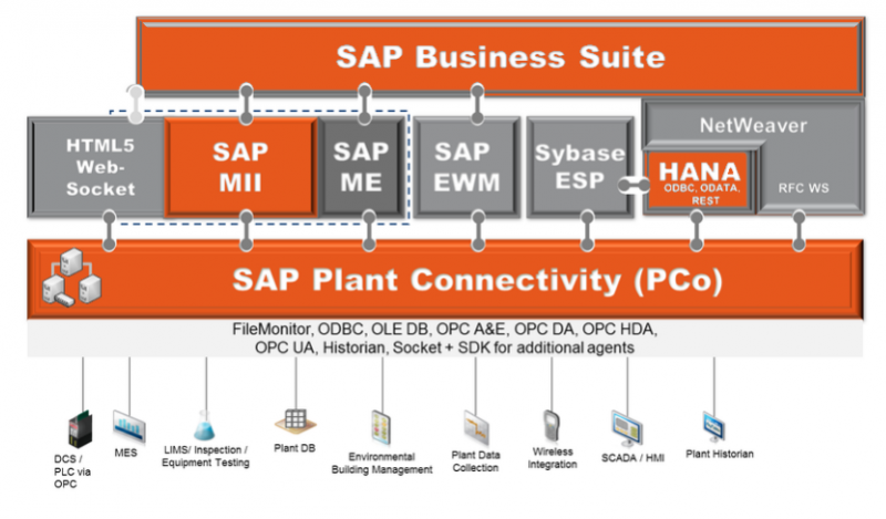 Connection between SAP and the plant