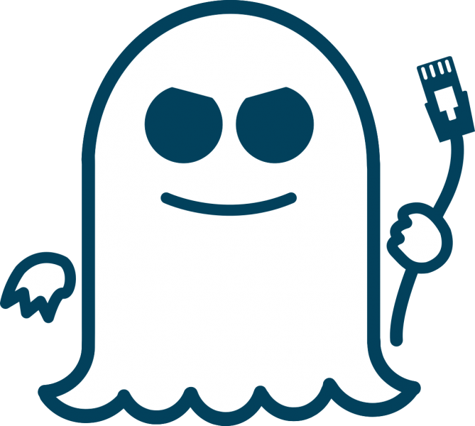 NetSpectre - Spectre attacks can be launched remotely