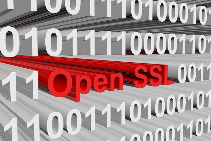 OpenSSL vulnerability PoC exploit