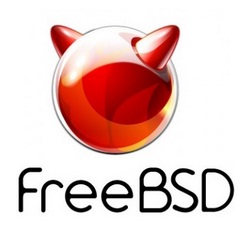 Vulnerability found in FreeBSD