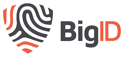 BigID funding