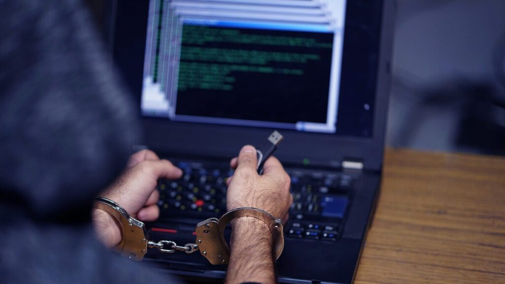 Hacker arrested