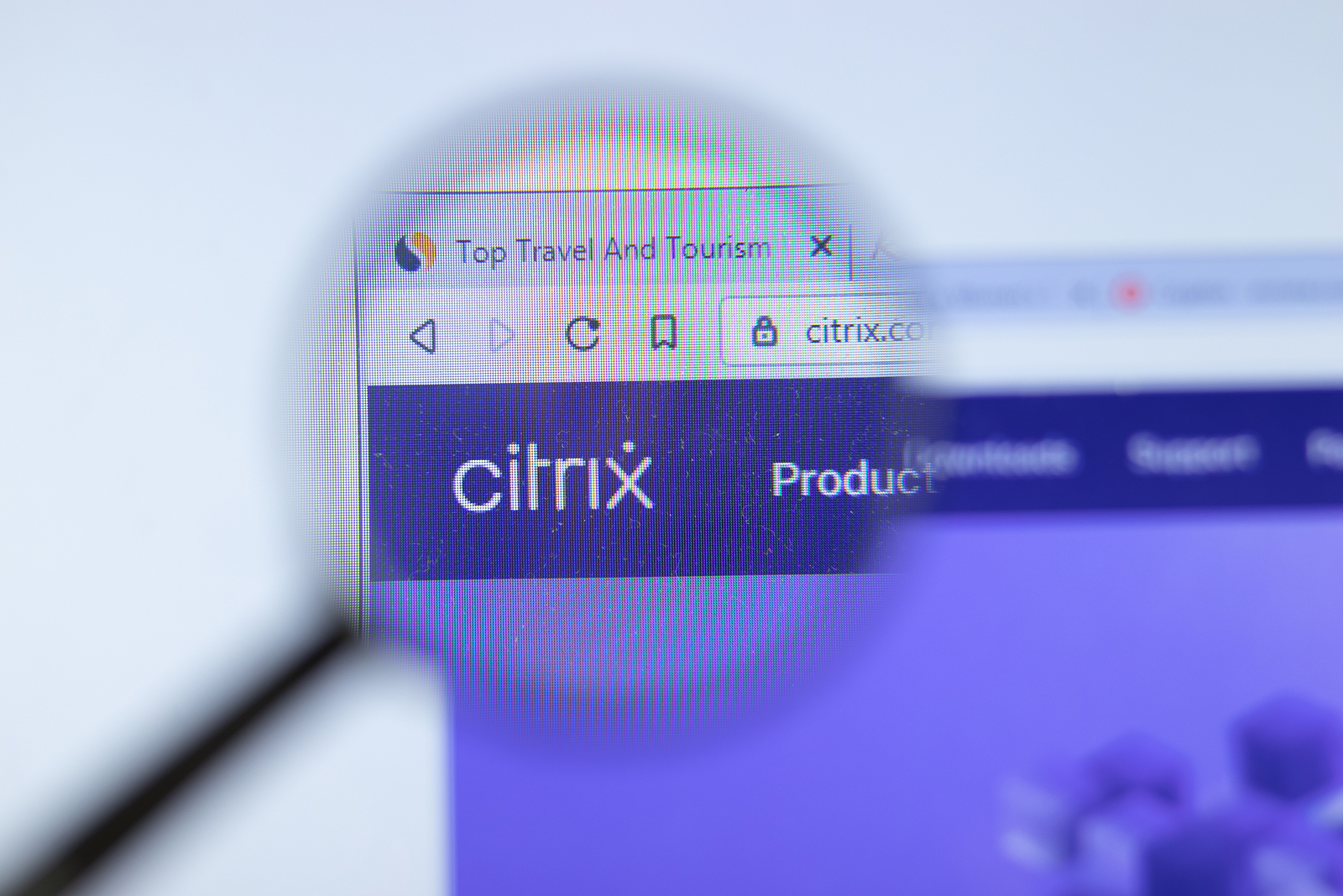 Citrix NetScaler zero-day