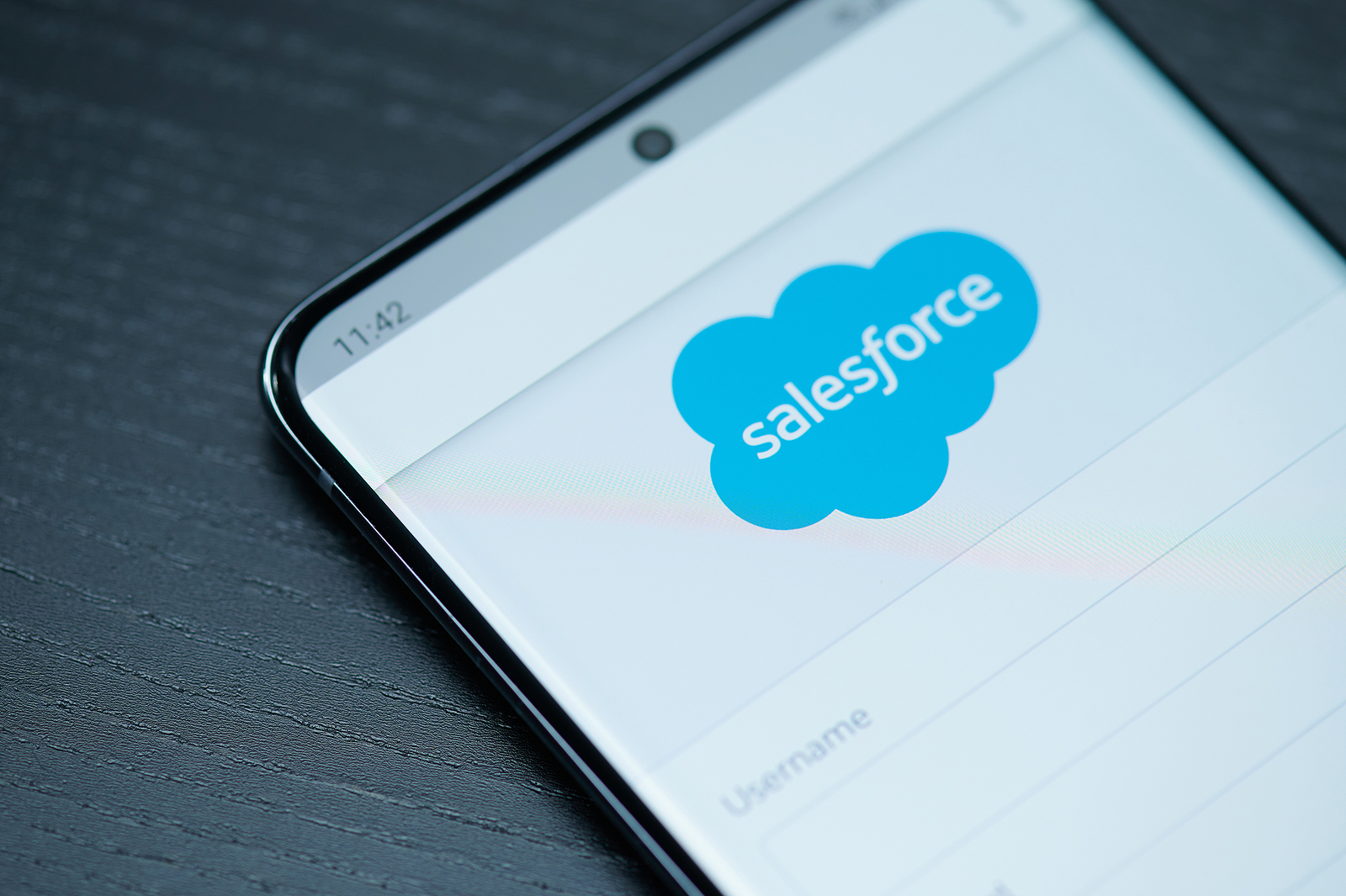 Salesforce phishing