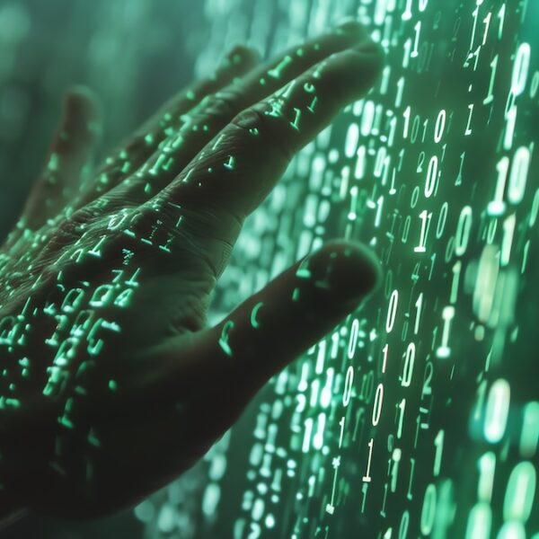 Cybercrime takedown