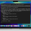Apple Private Cloud Compute inspection