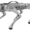 Unitree Go1 Robot Dog