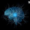 Spiking Neural Networks