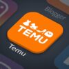 Temu China data theft lawsuit