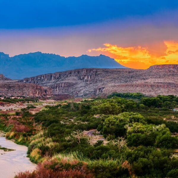 Texas Parks and Wildlife data breach